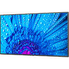 NEC MultiSync M981 98 inch Large Format Display product image